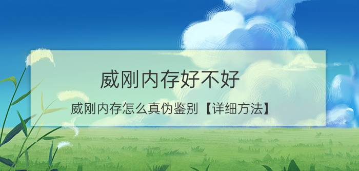 威刚内存好不好 威刚内存怎么真伪鉴别【详细方法】